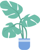 footer plant